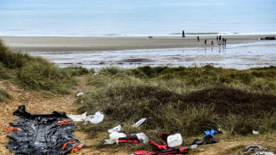 Dans les dunes de Flandre, l'impact écologique des traversées migratoires 