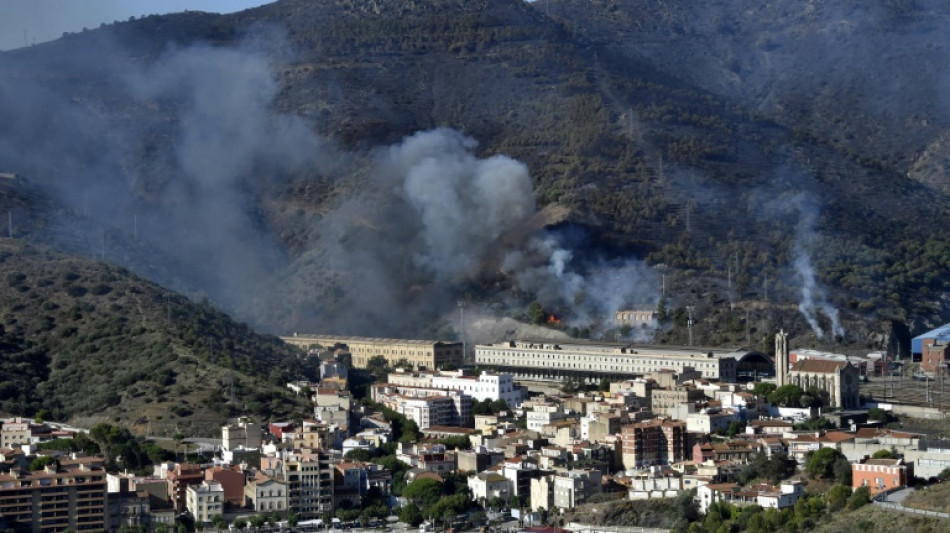 Controlado el incendio en la frontera de España con Francia 