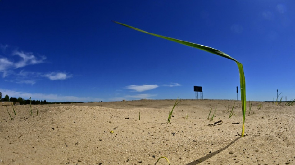 Experten warnen vor zunehmenden Wassernotlagen und fordern schnelle Reaktionen