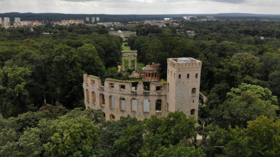 German drought prompts rethink for ancient palace park trees