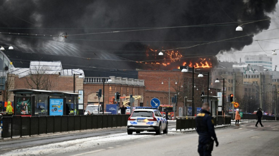 One missing in fire at Sweden's biggest amusement park