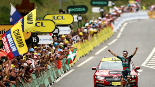 Tour de France: Jai Hindley fait coup double à Laruns où Vingegaard lâche Pogacar