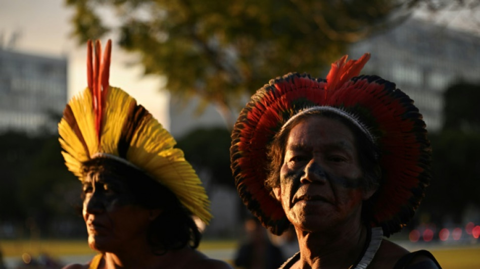 Claves sobre la demarcación de tierras indígenas en Brasil