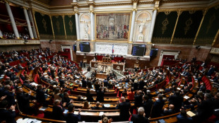 Assemblée: nouvelle semaine, nouvelles motions, le RN votera celle de LFI