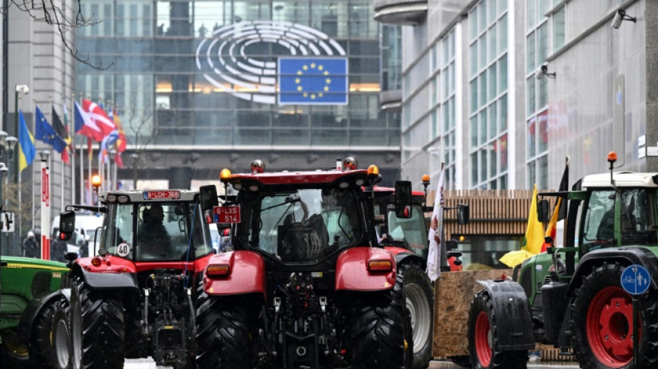 "Vision" für Landwirtschaft: Brüssel will strengere Regeln für Lebensmittelimporte