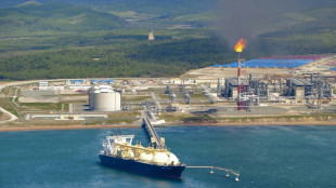 Moscow approves Japan stakes in Sakhalin energy project