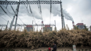 China ramps up coal plant approvals despite emissions pledge: report