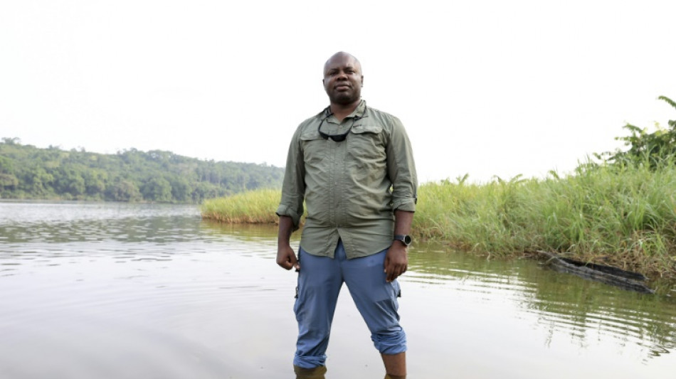 Saving the mysterious African manatee at Cameroon hotspot