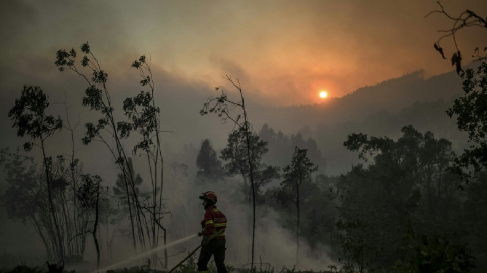 Le Portugal combat de nouveaux feux de forêt favorisés par le retour de la chaleur