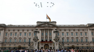 Prisión preventiva por tratar de entrar en la caballeriza del Palacio de Buckingham