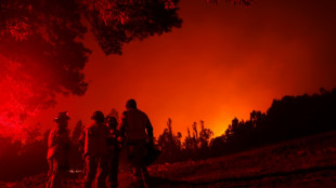 International help arrives for fire-hit Chile 