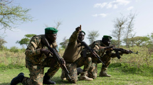 Dans un parc naturel du Tchad, le vif conflit homme-faune pour les agriculteurs