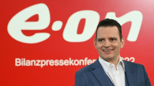 Eon-Chef fordert Investitionsschub für Erneuerbare und Netze in diesem Jahr