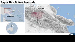 Papua New Guinea landslide rescue 'racing against time': UN