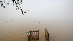 Fisico Cnr, mai vista in 100 anni alluvione come Valencia