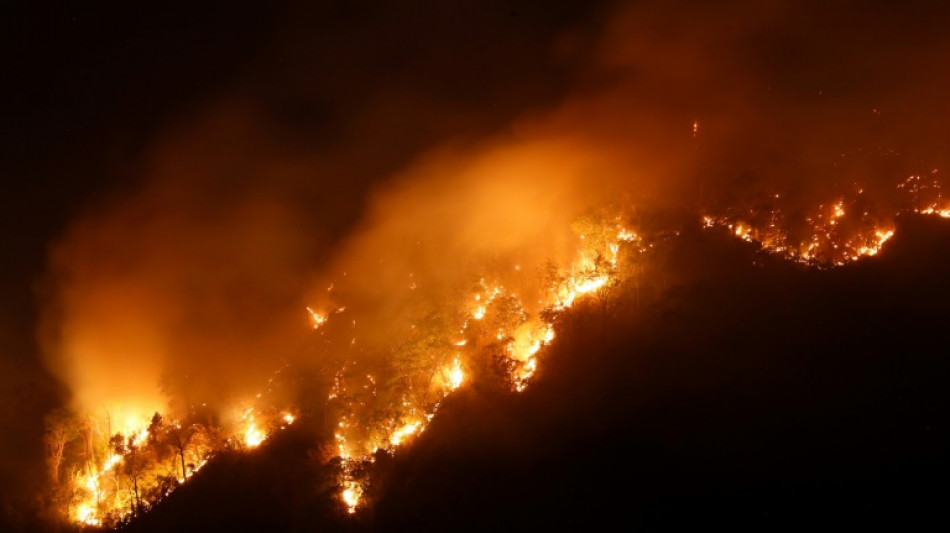 Thai firefighters battle forest blaze