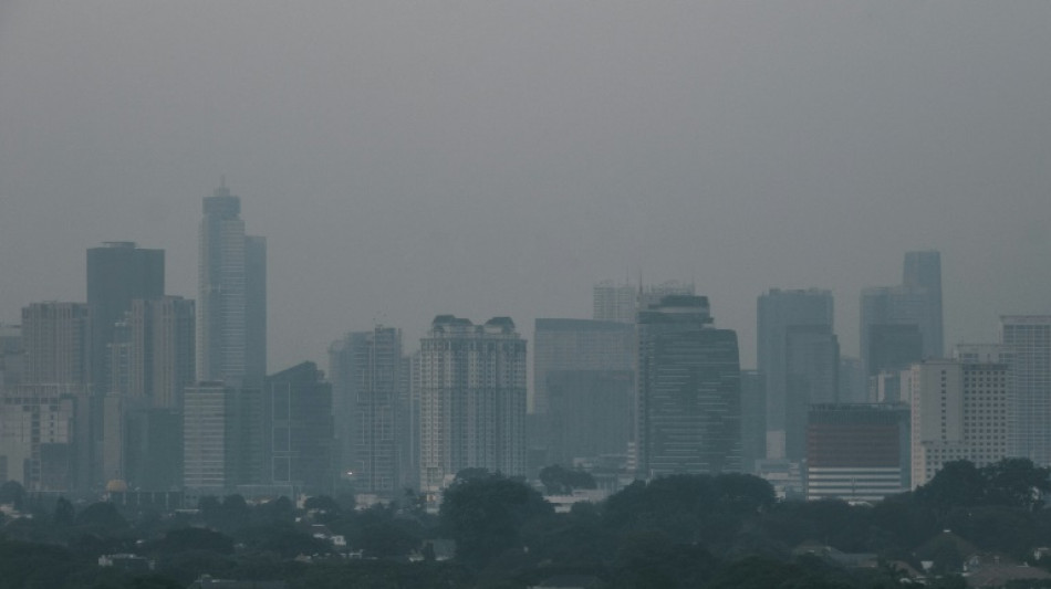 Indonesia halves output at coal power plant as pollution spikes