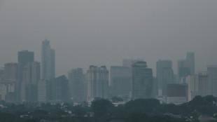 Indonesia halves output at coal power plant as pollution spikes