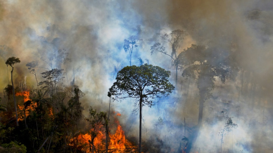 A la COP27, la Colombie et le Venezuela appellent à sauver l'Amazonie
