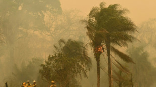 Bolivia decreta "desastre nacional" por incendios forestales