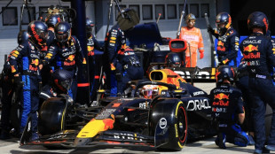 Verstappen defends 'childish' expletive-filled rant at Hungarian Grand Prix