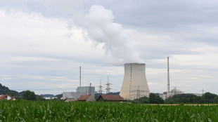 Atomkraft bleibt Streitthema auch in der Koalition