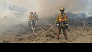 "Metro a metro": Bomberos extranjeros llegan a combatir incendios forestales en Canadá