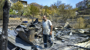 From paradise to hell: Aegean village stunned after Turkey fire 