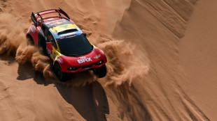 Dakar-2024/4e étape: Loeb débloque son compteur, Cornejo enchaîne en moto