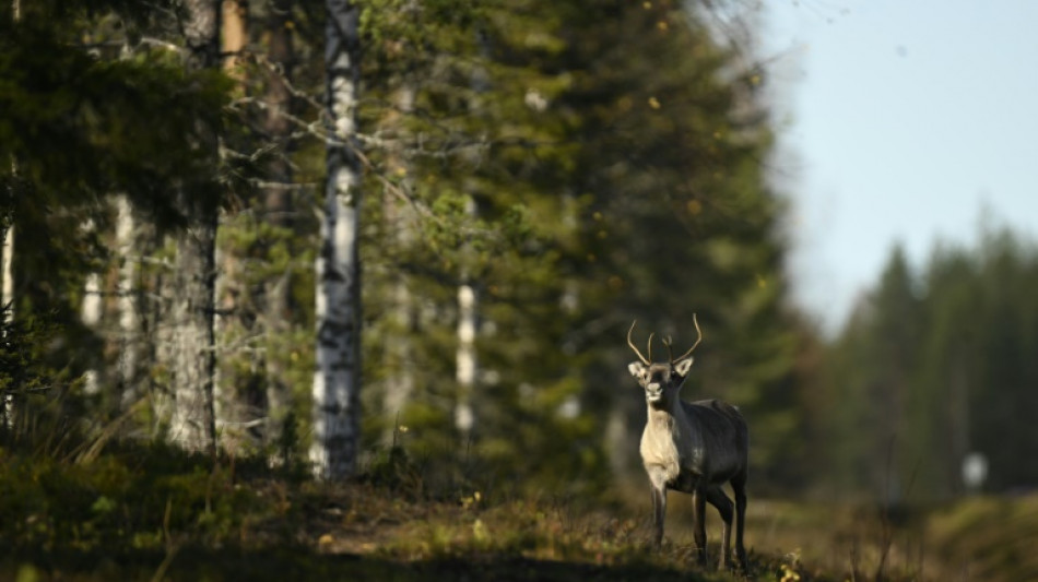 Activists file legal challenge over Finnish climate inaction