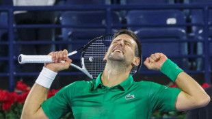 Fans' welcome 'exceeded expectations', says Djokovic after winning return