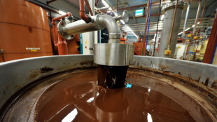 Salmonella found in world's biggest chocolate plant