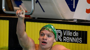 Natation: Léon Marchand brille encore, les dossistes au rendez-vous