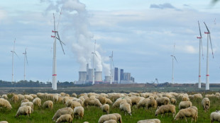 IEA sees global energy emissions peaking in 2025