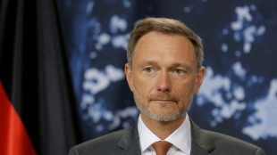 Lindner für "weniger samtpfötiges Auftreten" im Verhältnis zu China