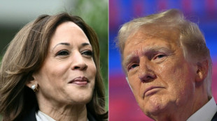 Trump e Kamala estão ombro a ombro em três estados-chave