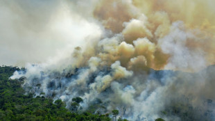 Brésil: l'Amazonie, une question brûlante absente de la campagne électorale