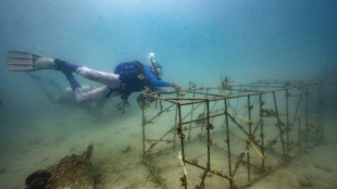 How restoration can help coral reefs