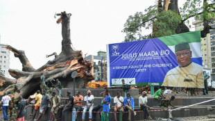 Sierra Leone's symbolic 'Cotton Tree' destroyed in rain storm