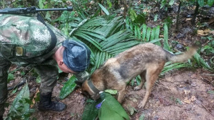 Colombian soldiers hunt for children who survived air crash