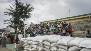 Rotes Kreuz nimmt Hilfslieferungen auf dem Landweg nach Tigray wieder auf