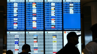 Sitios web de aeropuertos de EEUU sufren ciberataque de hackers prorrusos