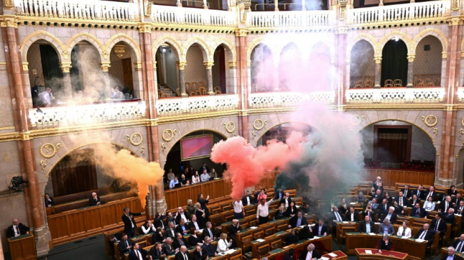 En Hongrie, adoption d'une loi pour interdire la Marche des fiertés