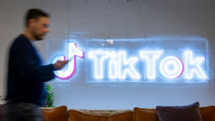 TikTok girds for US election misinformation threat