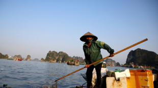 Vietnam combate la plaga del plástico en la idílica bahía de Halong