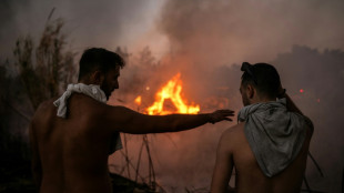 Erstes Todesopfer bei Waldbränden in Griechenland - EU schickt Feuerwehrleute