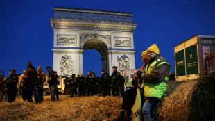 Sessenta e seis detidos em protesto de agricultores no Arco do Triunfo em Paris