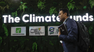 Cop29, il Piano Mattei nel Baku Hub per la pace e il clima