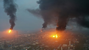 One dead in Shanghai chemical plant explosion