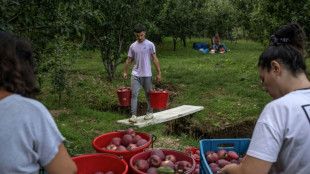 En Grecia, las inundaciones devastaron la "capital de la manzana"